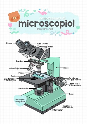 Microscopio