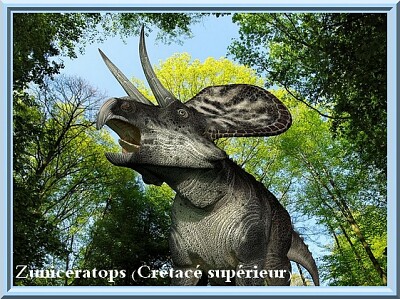 Zuniceratops - (Crétacé supérieur)