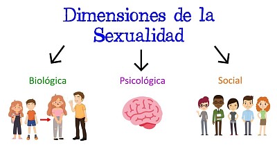 DIMENSIONES