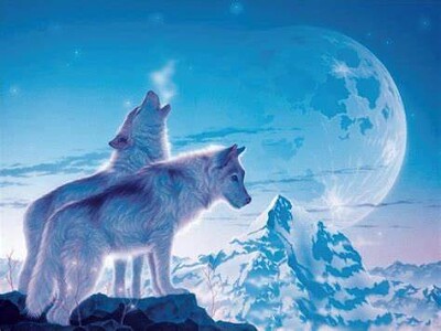 Loups sous la Lune