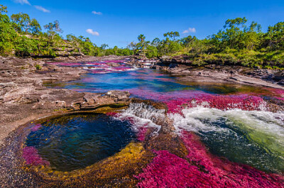 Caño cristales