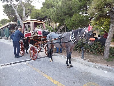 Promenade en calèche Malte