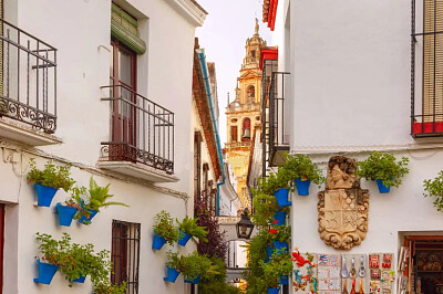 Flowerpot Lane in Cordoba