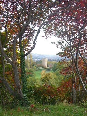 paysage d 'automne