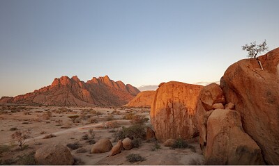 ROCK DESERT