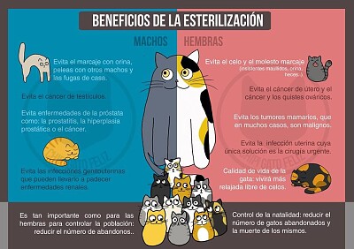 Beneficios de la estarilización