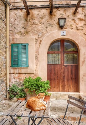 Pollença-Mallorca