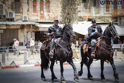 שני סוסי משטרה עם השוטרים עליהם במרכז העיר ירושלים