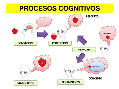 Paradigma cognitivo