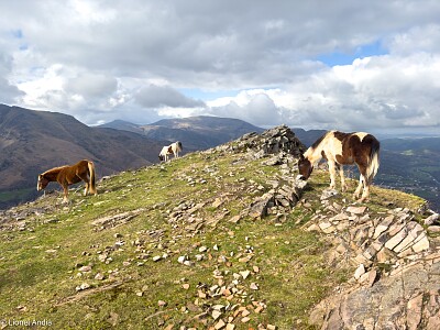 Potoks sur le massif de Larla