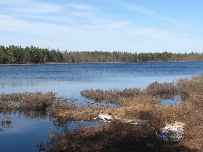 Hidden lake in Loggieville NB