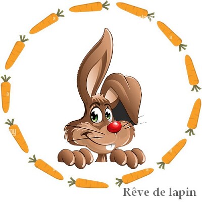 Rêve de lapin