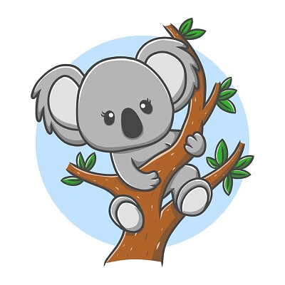 Koala