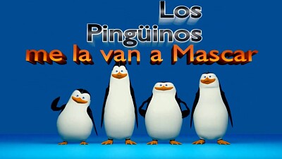 Los pinguinos me la van a mascar