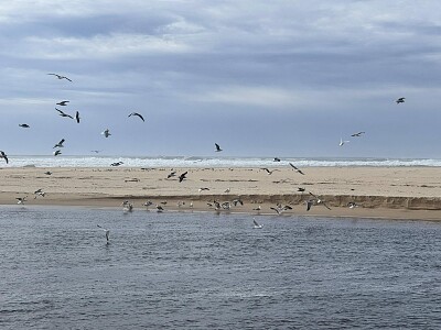 La plage Landes