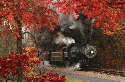 imagen hermosa de otoÃ±o