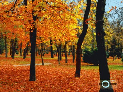 otoÃ±o