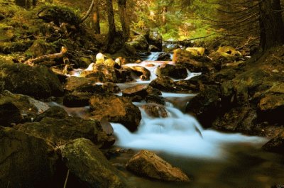 paisaje maderas de otoÃ±o