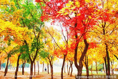 paisajes y colores de otoÃ±o