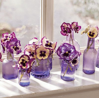 Pansies in Decorative Bottles