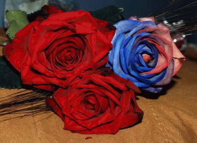 Rosas Vermelhas e Azul