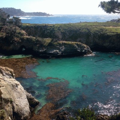 Tide Pool-Point Lobos State Reserve