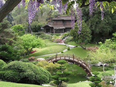 Botanical Gardens-San Diego