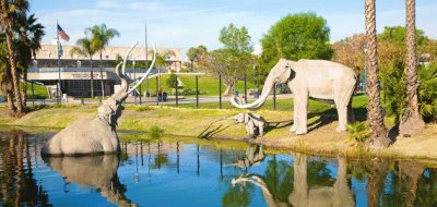 La Brea Tar Pits-Los Angeles