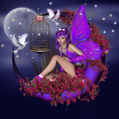 Fantasy Moon Fairy