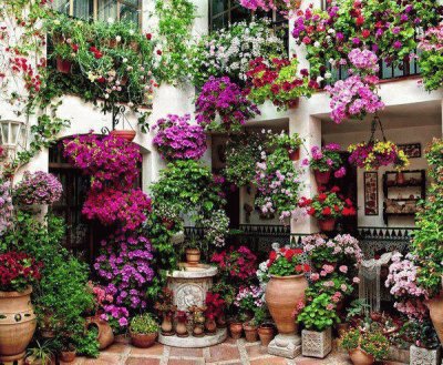 Casa com flores