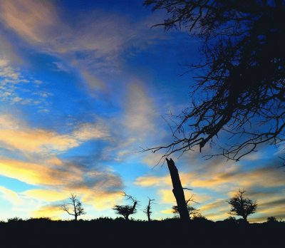 paisaje sureÃ±o