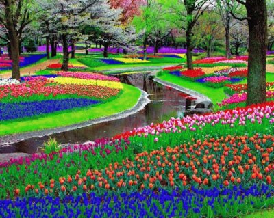 Jardim de Keukenhof, Amsterdam - Holanda