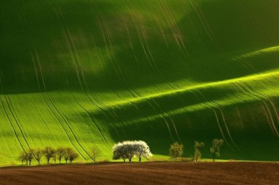 Colinas verdes da MorÃ¡via - RepÃºblica Checa.