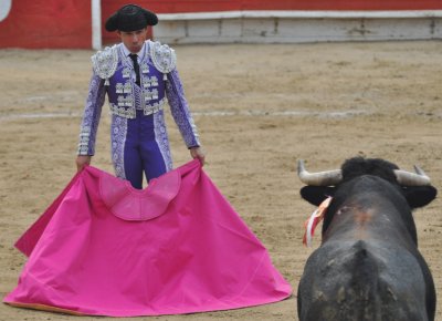 Matador and Bull