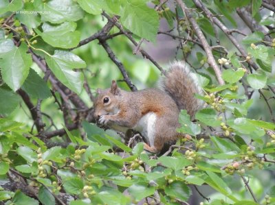 Snack Time