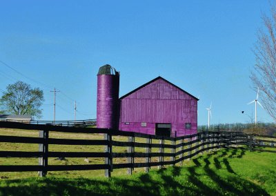 Purple Barn