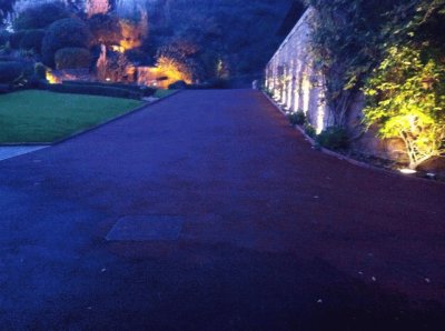 Purple Driveway