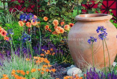 Orange and Purple Garden