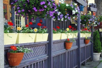 Purple Garden Trellis