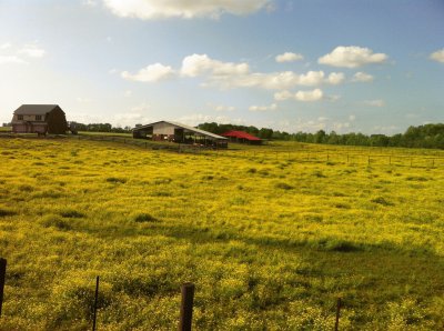 Field in Alabama