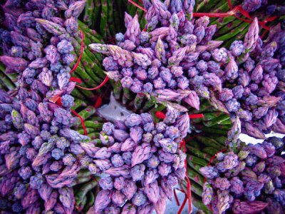 Purple Asparagus Bundles