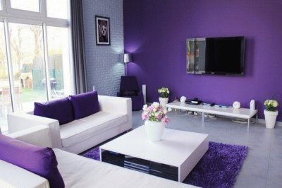 Purple Living Room