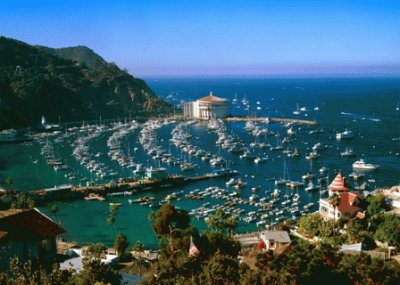 Avalon Harbor Afternoon-Catalina Island