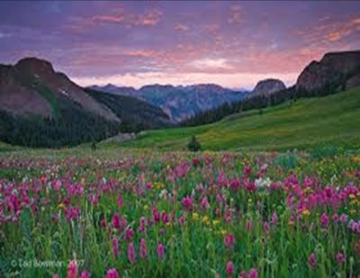 Rocky Mountain Spring