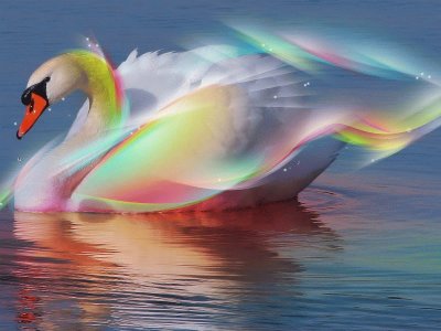 Cisne-Arcoiris