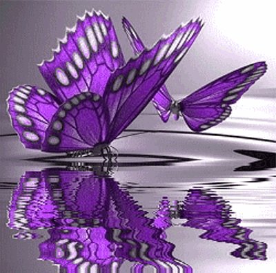 Butterflies on the Water