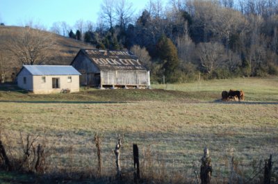 farmland