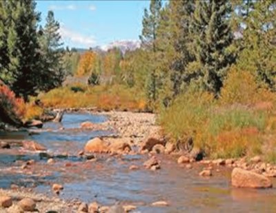 Prime trout stream - Colorado