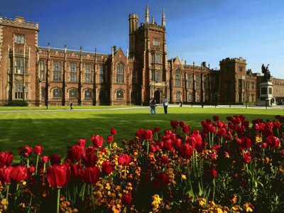 castle and tulips