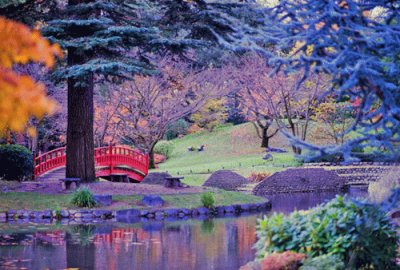 Tranquility Bridge